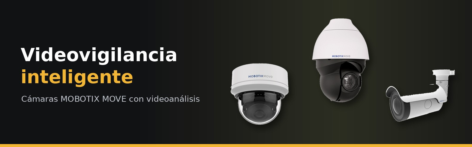 Videovigilancia inteligente